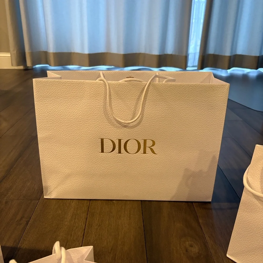 Dior Pebbled Bags from Nordstrom Roosevelt Field in Long Island, New York ~ New - Picture 5 of 7